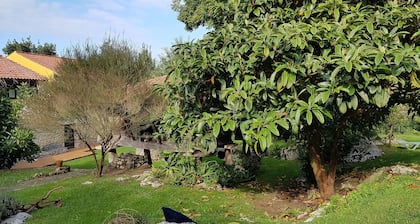Amaicha Apartamentos Rurales