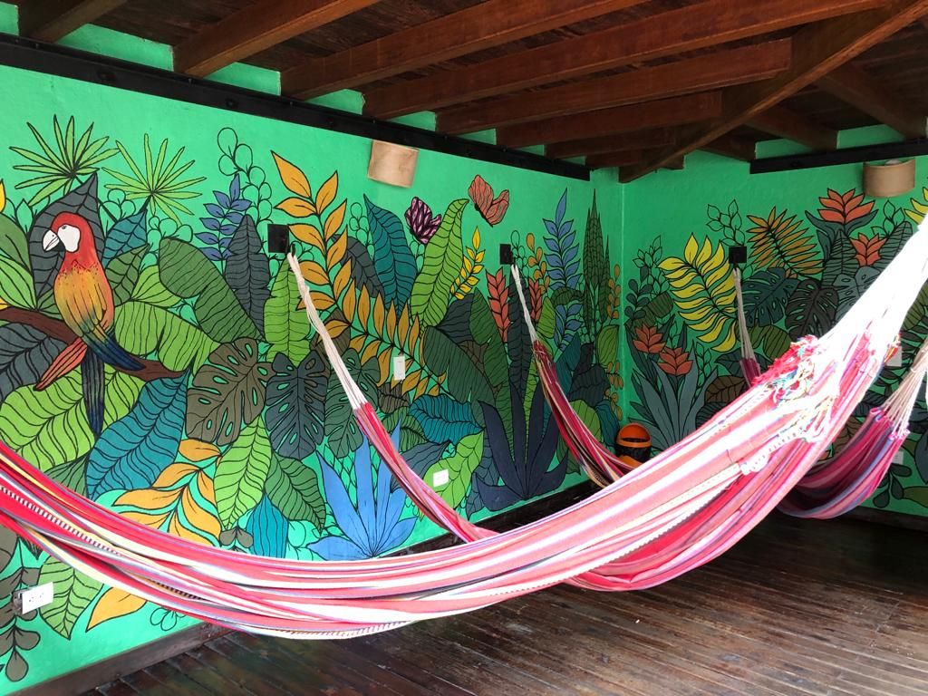 Photo - Casa Kiwi Hostel