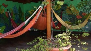 Unclassified image, 4 of 32, button - Casa Kiwi Hostel (Medellín)