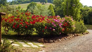 A garden with red and pink flowers, a gravel path, and a hill in the background. - Antica Fonte Resort (Casole d'Elsa)