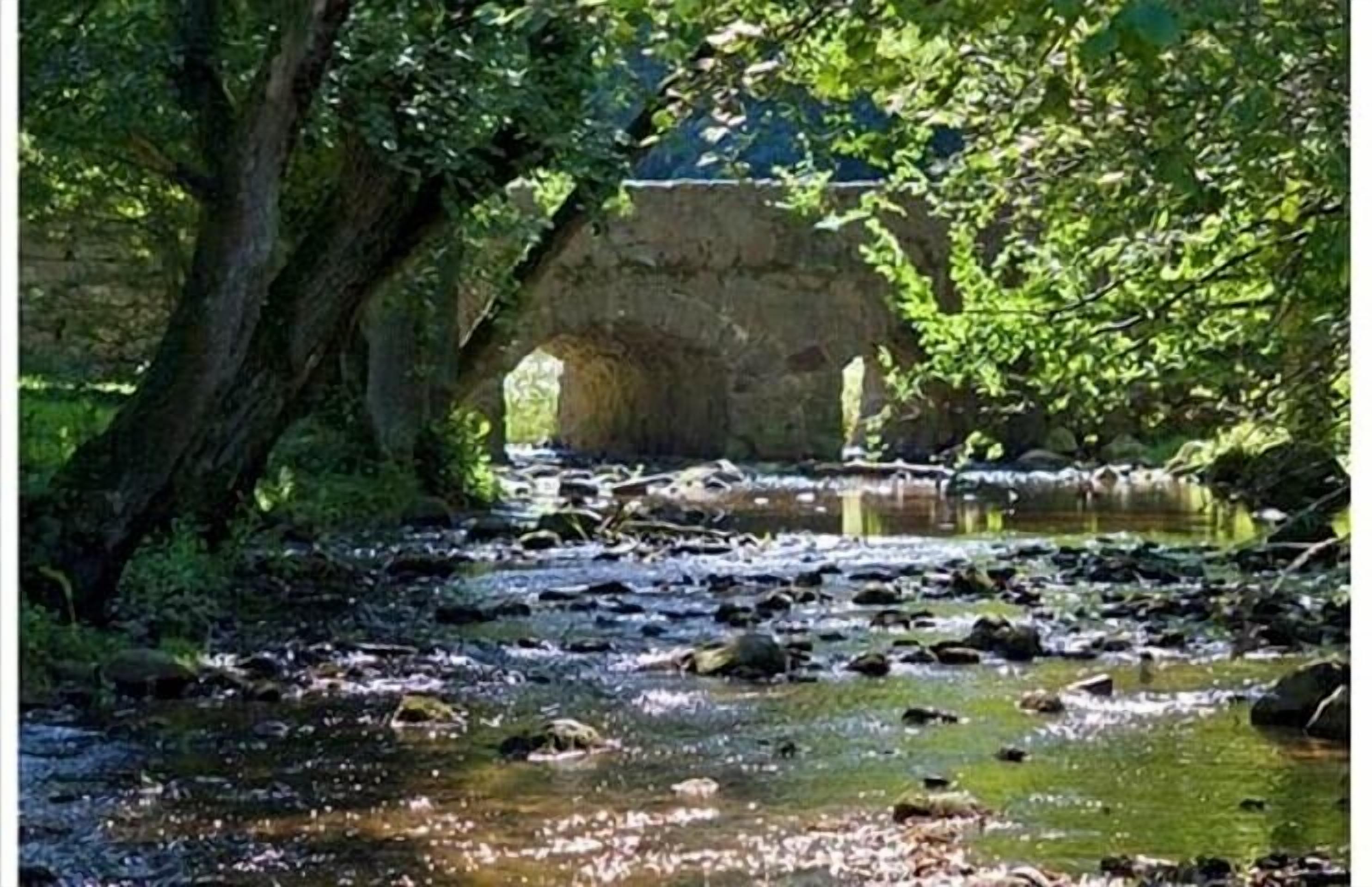 A stone bridge arching over a flowing river, surrounded by lush greenery.
