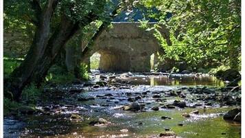 A stone bridge arching over a flowing river, surrounded by lush greenery.