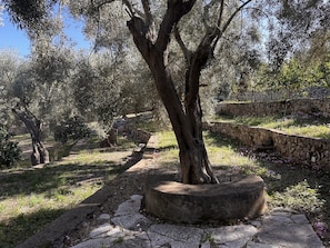 Parco della struttura