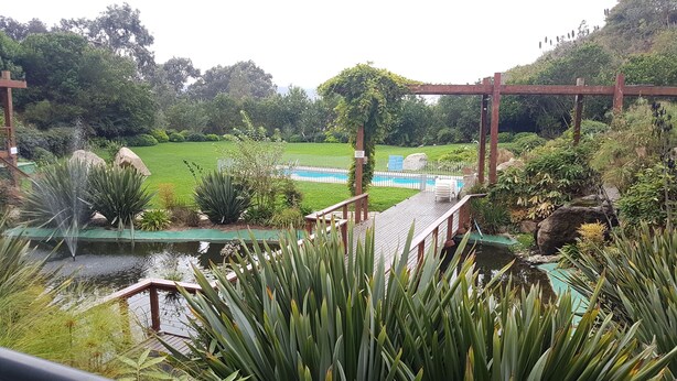 A garden with a wooden deck, a pond, and a pool area. - Apart Reñaca C-206 (Vina del Mar)
