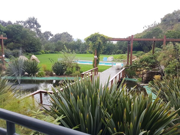 Vista desde la habitación