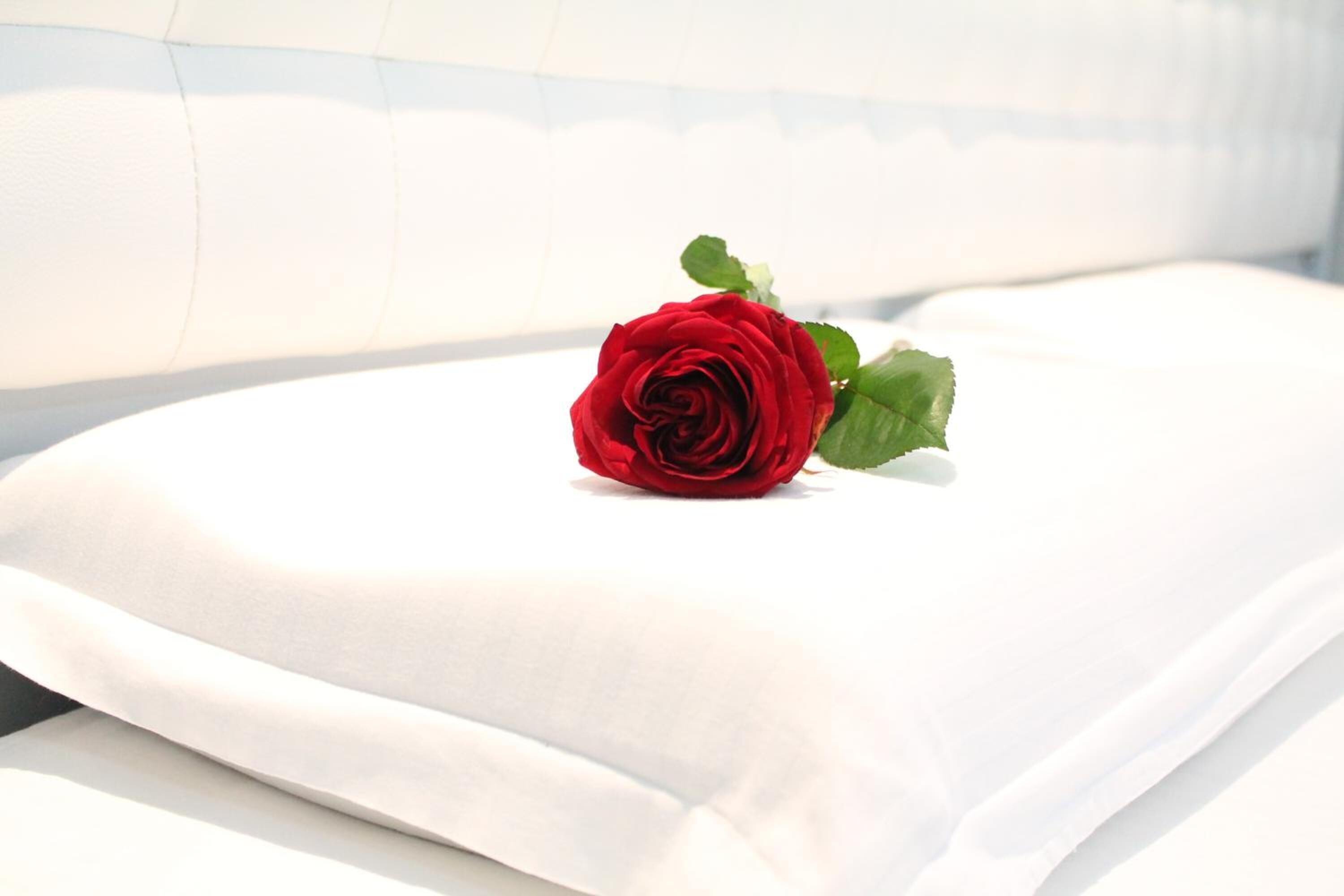 Photo - Hotel Vila Verde City Center