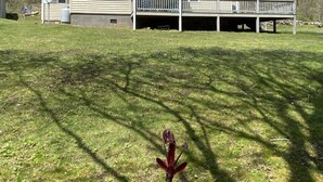 Exterior - Cold Mountain Cabin  - Great Cottage with Unbeatable Nightly Rates (Highlands)