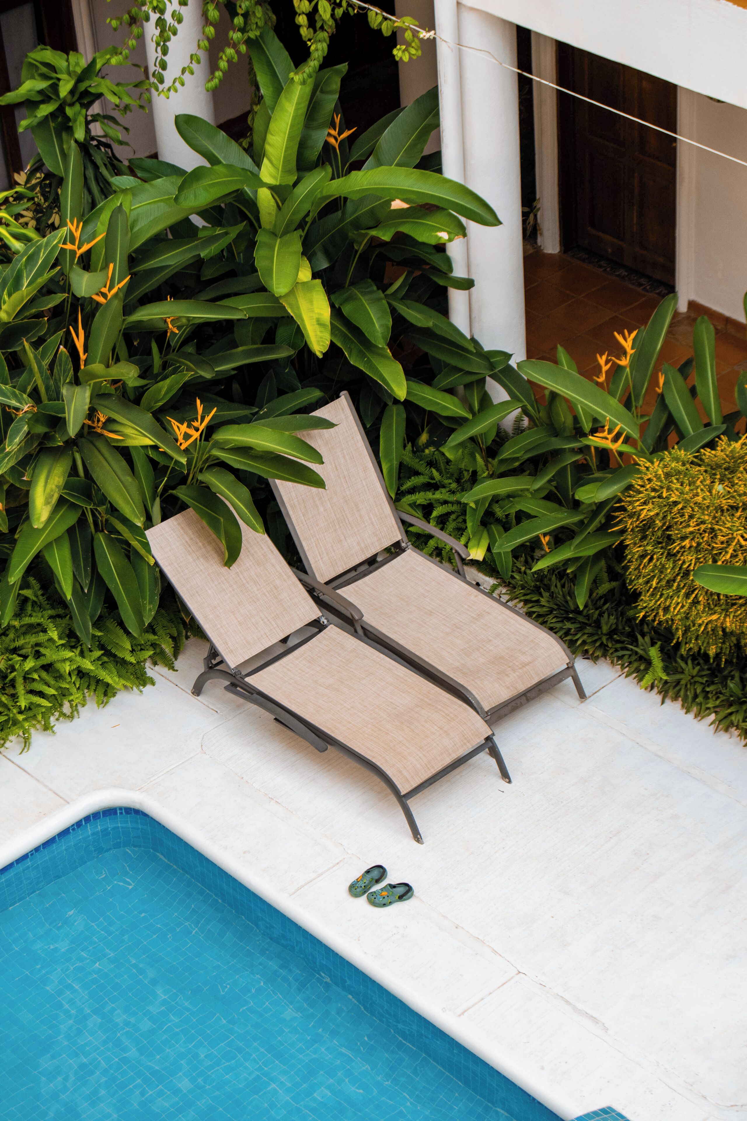 A poolside area with two lounge chairs, a tiled pool, and lush greenery.