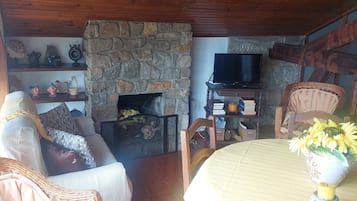 TV, fireplace, books
