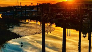 Marina - Escape to Paradise:202B OCEANFRONT, LAZY RIVER, Family Friendly, Pools, Hot tubs (Myrtle Beach)
