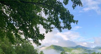 "Spoon Rest" - 30 Acres Nestled in the Nantahala National Forest