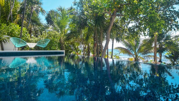 An infinity pool with clear blue water, surrounded by lush tropical trees and palm fronds. - Beachfront without seaweed, infinity pool, rooftop jacuzzi, Chef included. (TULUM)