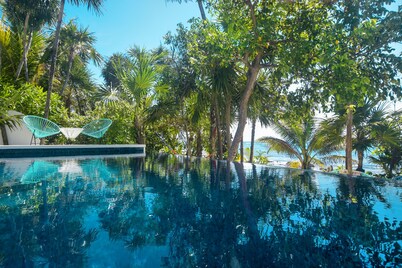 Beachfront without seaweed, infinity pool, rooftop jacuzzi, Chef included.