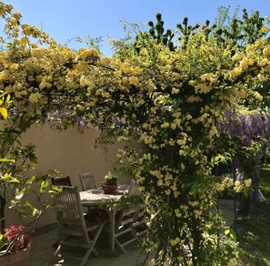 Restauration en plein air