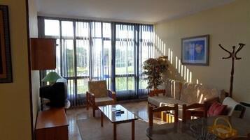 Een televisie en een open haard