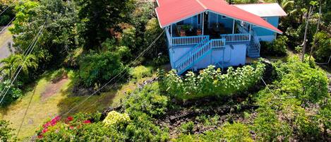 A blue house with a red roof surrounded by lush greenery and a small pond.