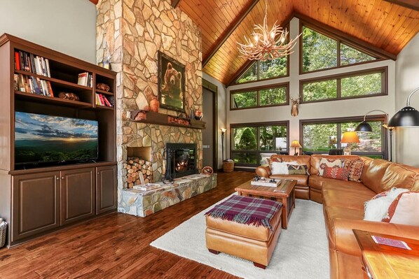 Flat-screen TV, fireplace, DVD player, books