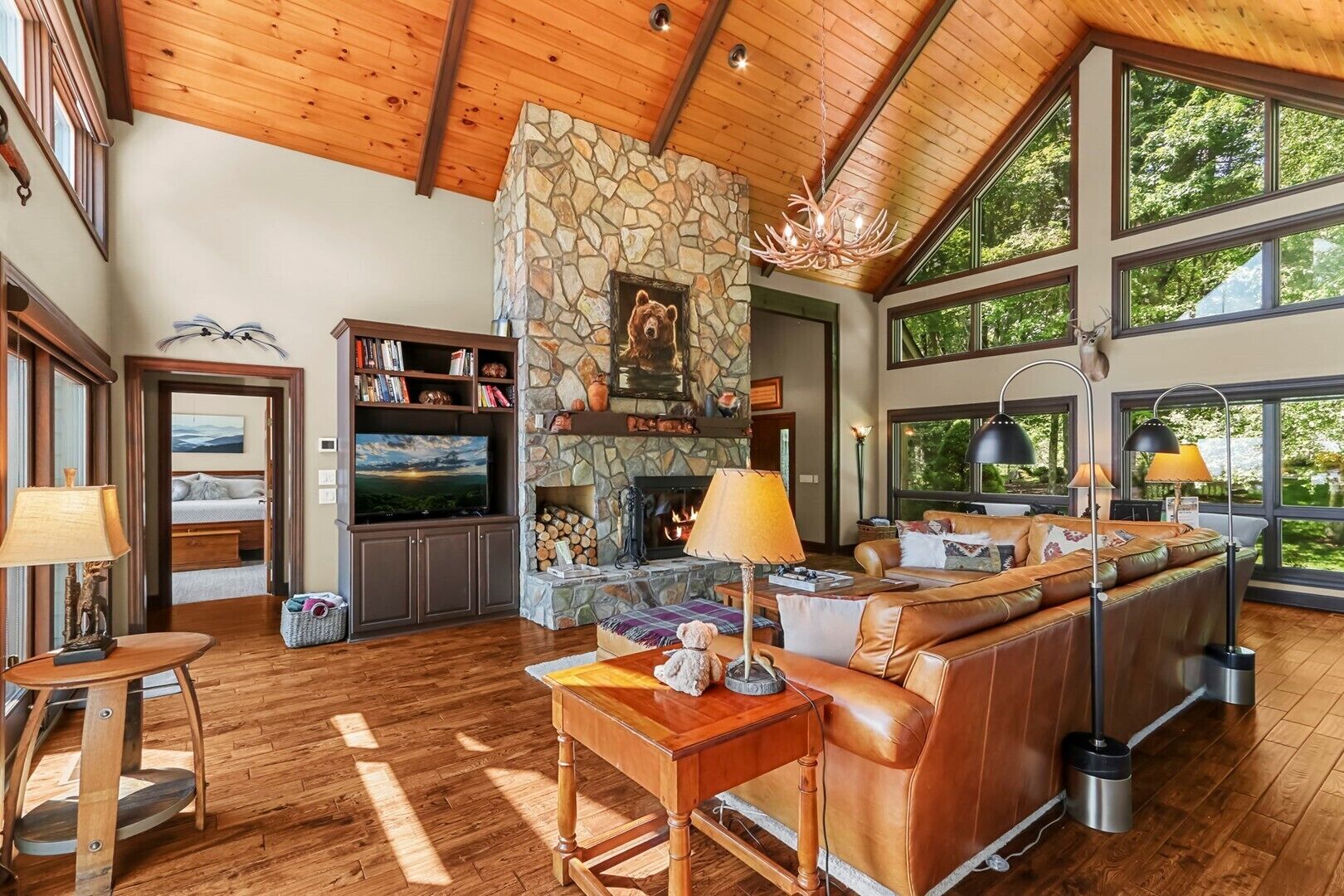 Flat-screen TV, fireplace, DVD player, books