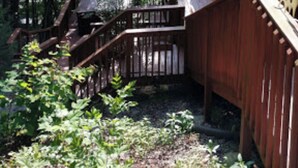 Eine Holzhütte mit einer Treppe, die zu einer Terrasse führt, umgeben von dichtem Wald.
