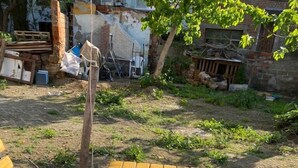 Un montaje para picnic al aire libre con un mantel a cuadros, diferentes alimentos, un termo y una cesta de pan.