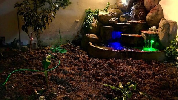 Un terrario con cascada, rocas y plantas.