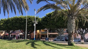 Un espace extérieur ensoleillé avec une pelouse verdoyante, des palmiers, une rue bordée de voitures garées et d’immeubles.