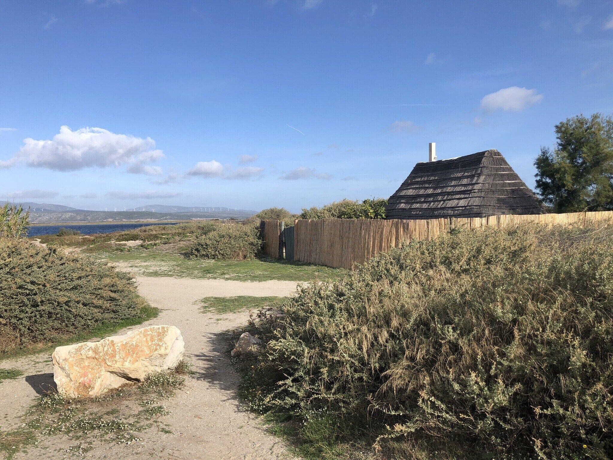 Een landelijk landschap met een onverharde weg die naar een gebouw met rieten dak leidt, omringd door begroeiing en een verre blik op windturbines.