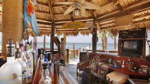 A beach bar with a thatched roof, a Corona sign, and a TV screen.