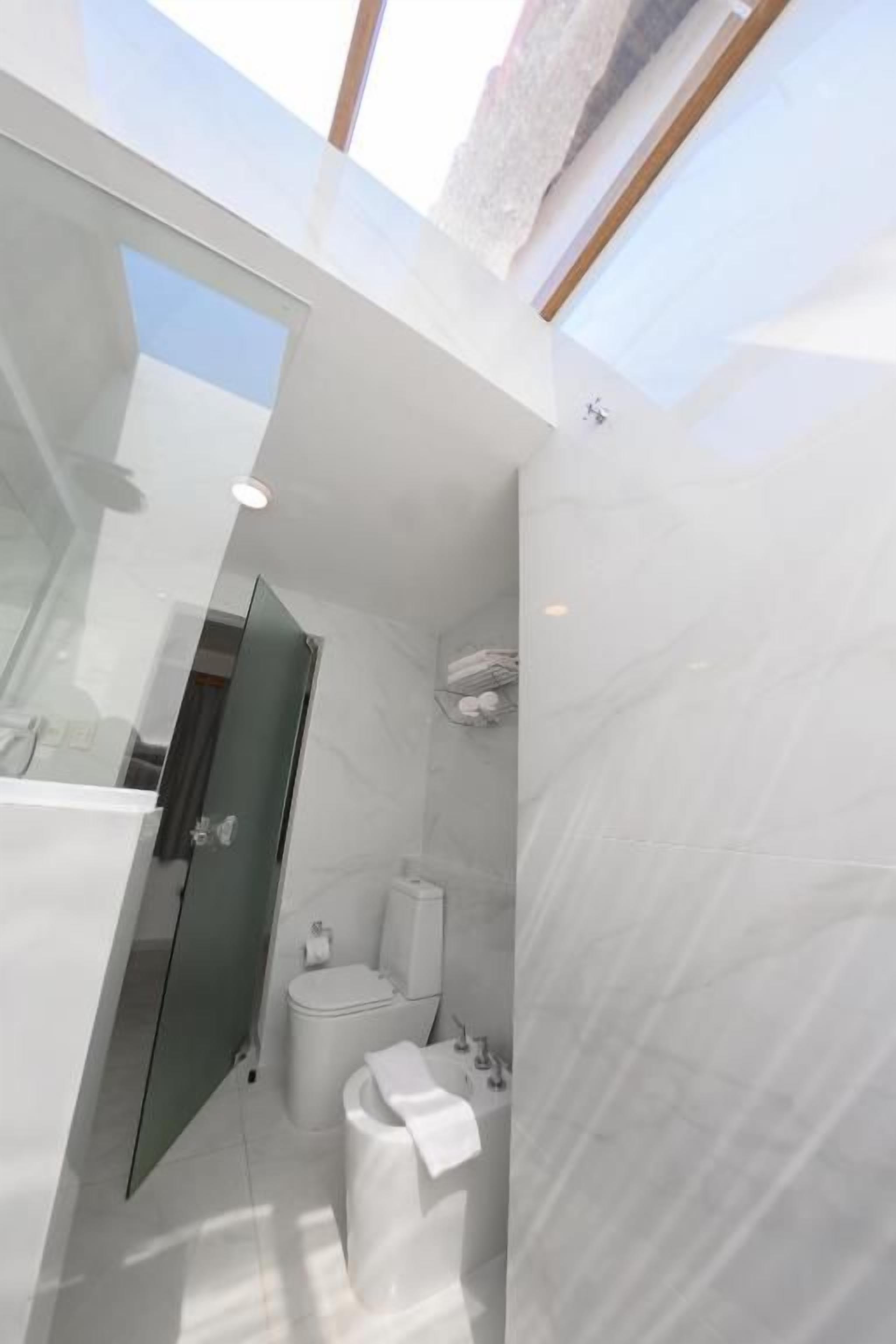 A modern bathroom with a skylight, a toilet, and a shower area.