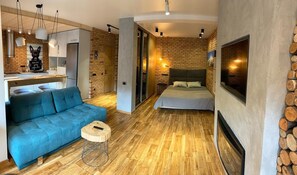 TV, fireplace, books - Eco-loft studio in the central Kiev area (Shevchenkivs'kyi district)