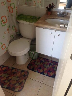 Un bagno con il water, un lavandino e un armadietto. Due tappeti decorano il pavimento.