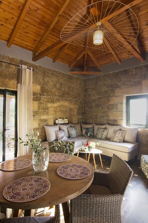 Smart TV, chimenea y libros