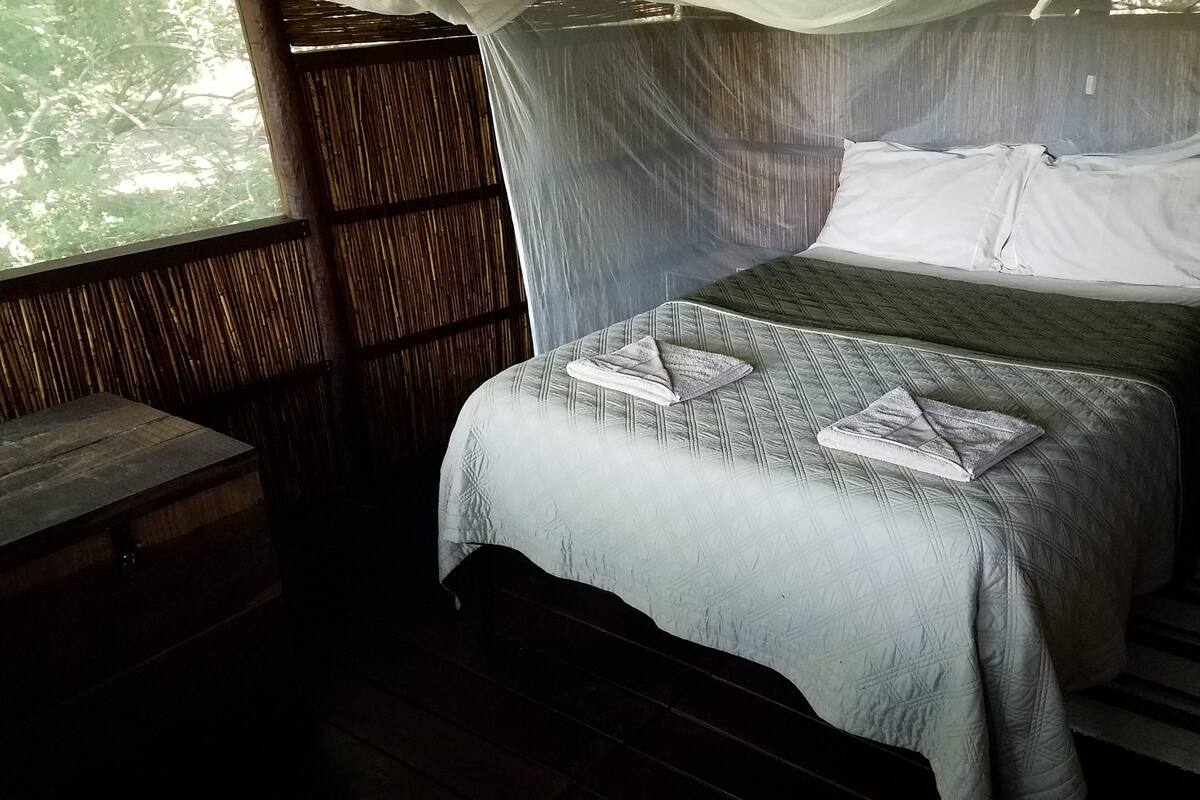 A single bed with a canopy, a small bedside table, and a view of the outdoors through a window.