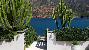 A coastal view with cacti and a white wall. - Sea Vessel (Mylopotamos)