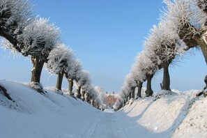 A snow-covered pathway flanked by trees leading to a building. - 5***** Luxury pool villa, very quiet location, free WLAN, heated pool, 3000 sqm  (Boltenhagen)