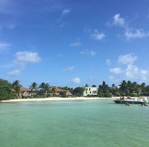 Sun-loungers - ISLAMORADA BEACH HOUSE (Islamorada)