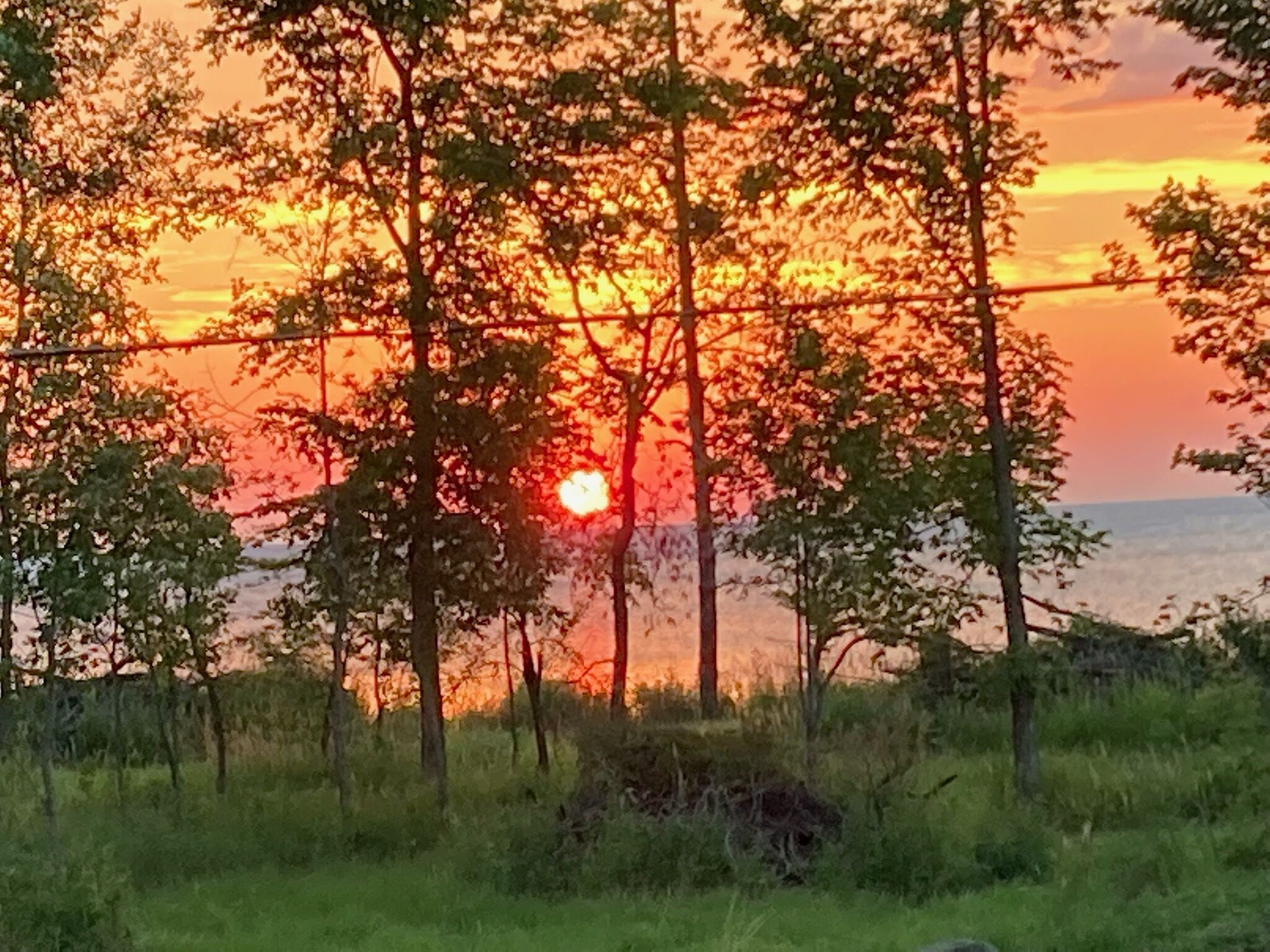Un coucher de soleil sur une étendue d’eau, avec des arbres au premier plan.