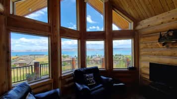 Télévision, cheminée, jeux vidéo, lecteur de DVD