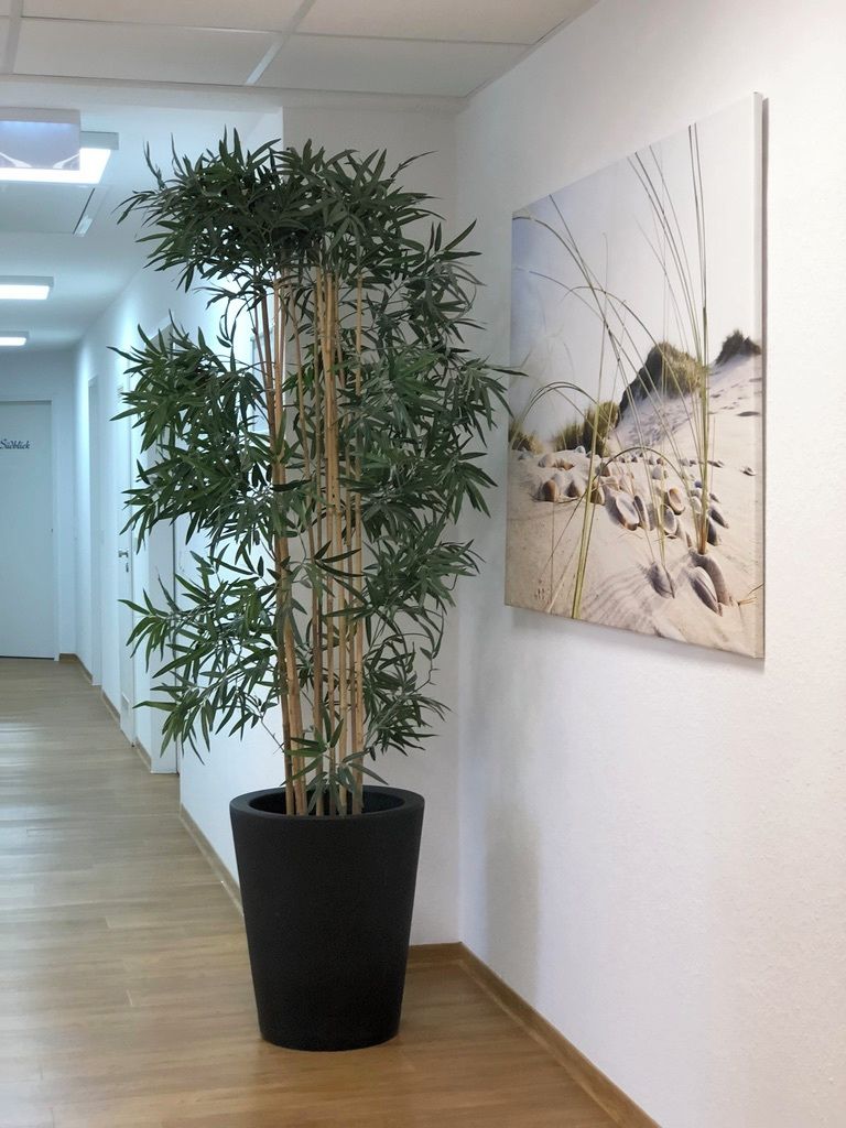 Un pasillo con una planta de bambú en una maceta negra, un cuadro de una playa en la pared y suelo de madera.