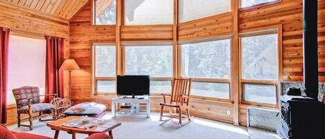 テレビ、暖炉、DVD プレーヤー