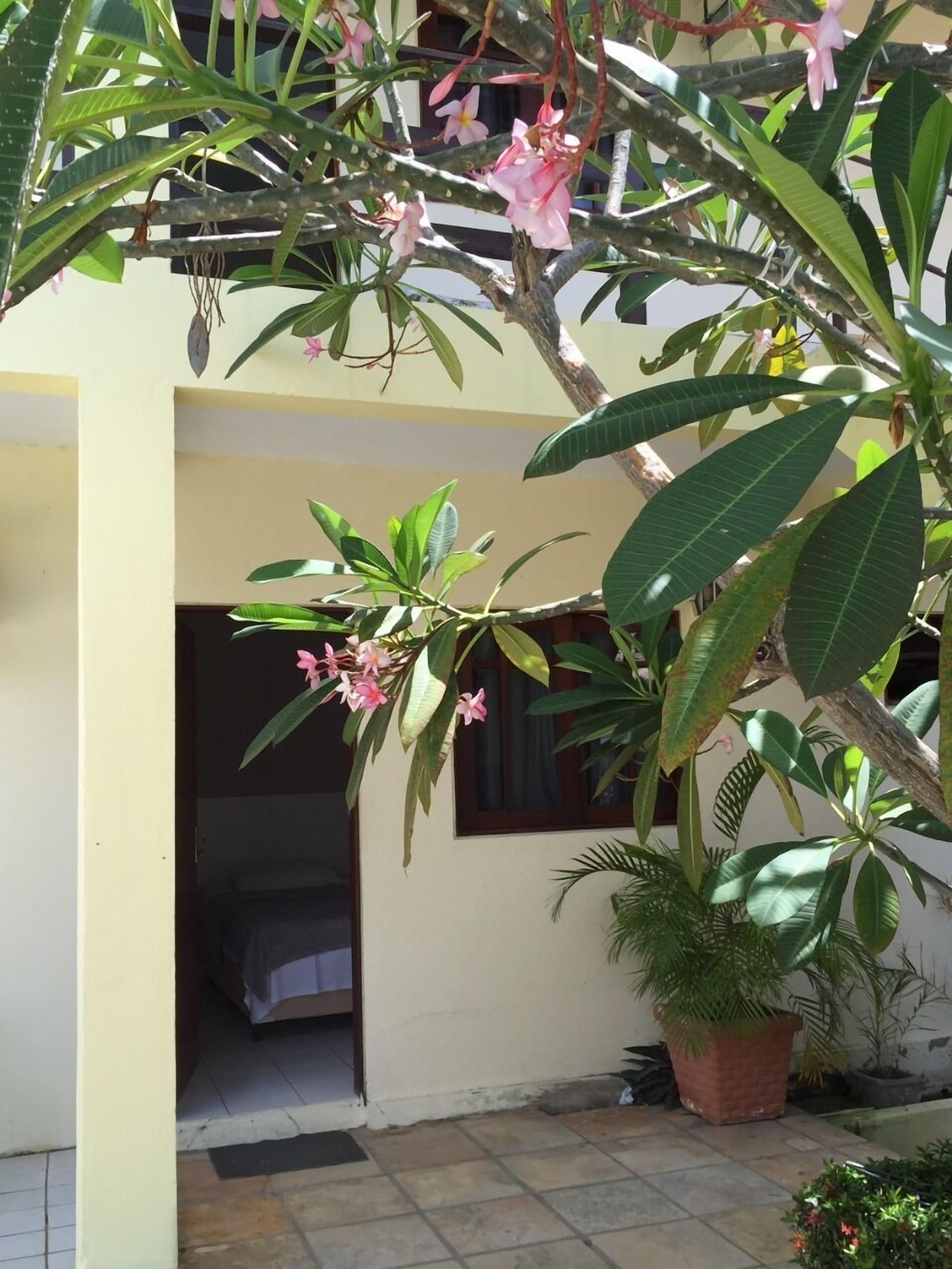 Um edifício com entrada em azulejos e um vaso de planta na frente.