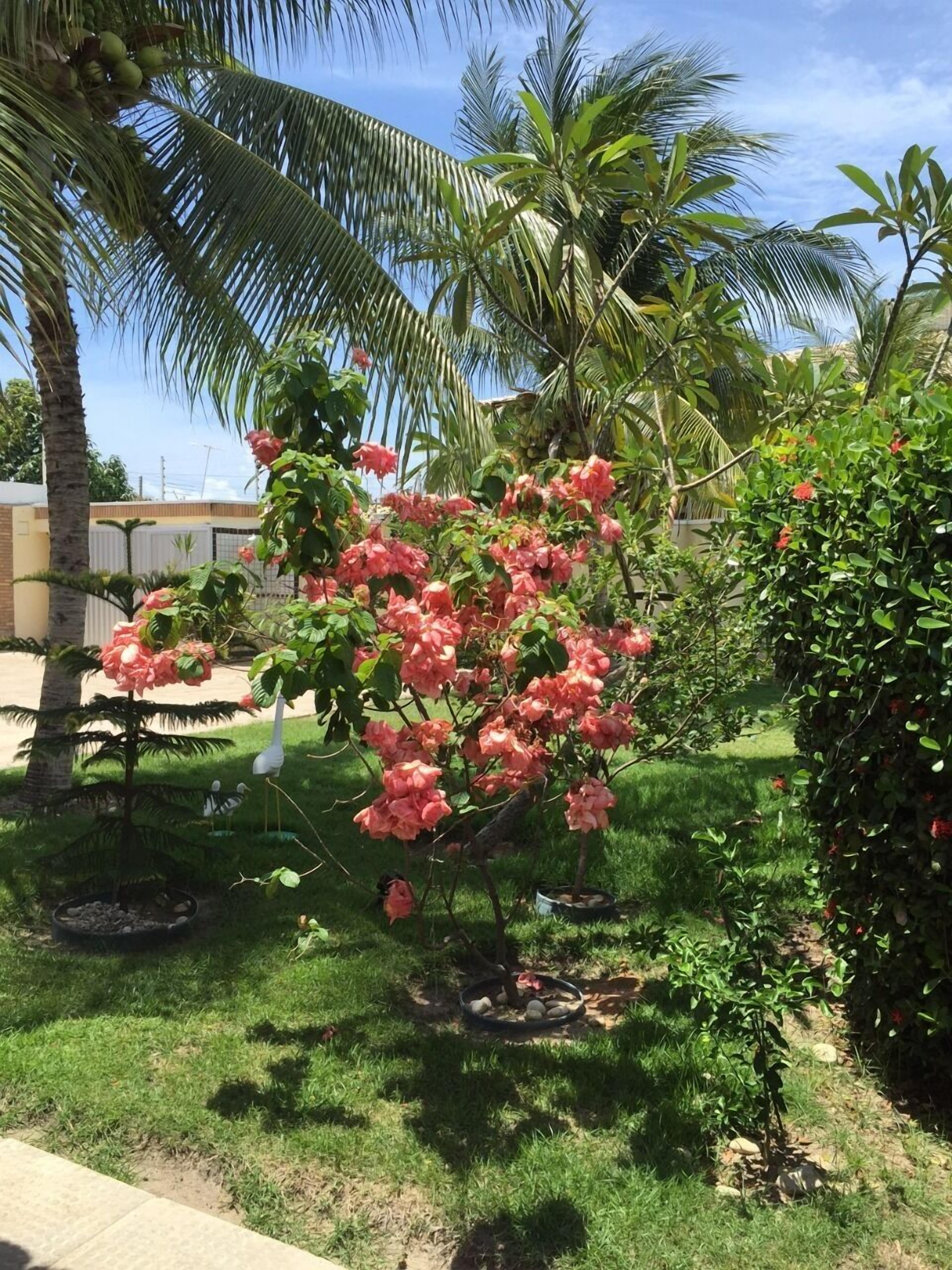 Jardim