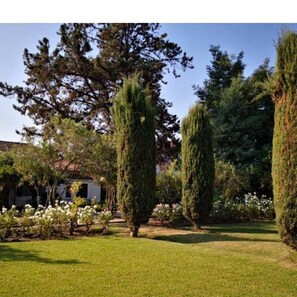 Suite Romantica, 1 letto king, caminetto, vista giardino | Esterni