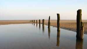 Una spiaggia con pali di legno che si ergono nell'acqua.