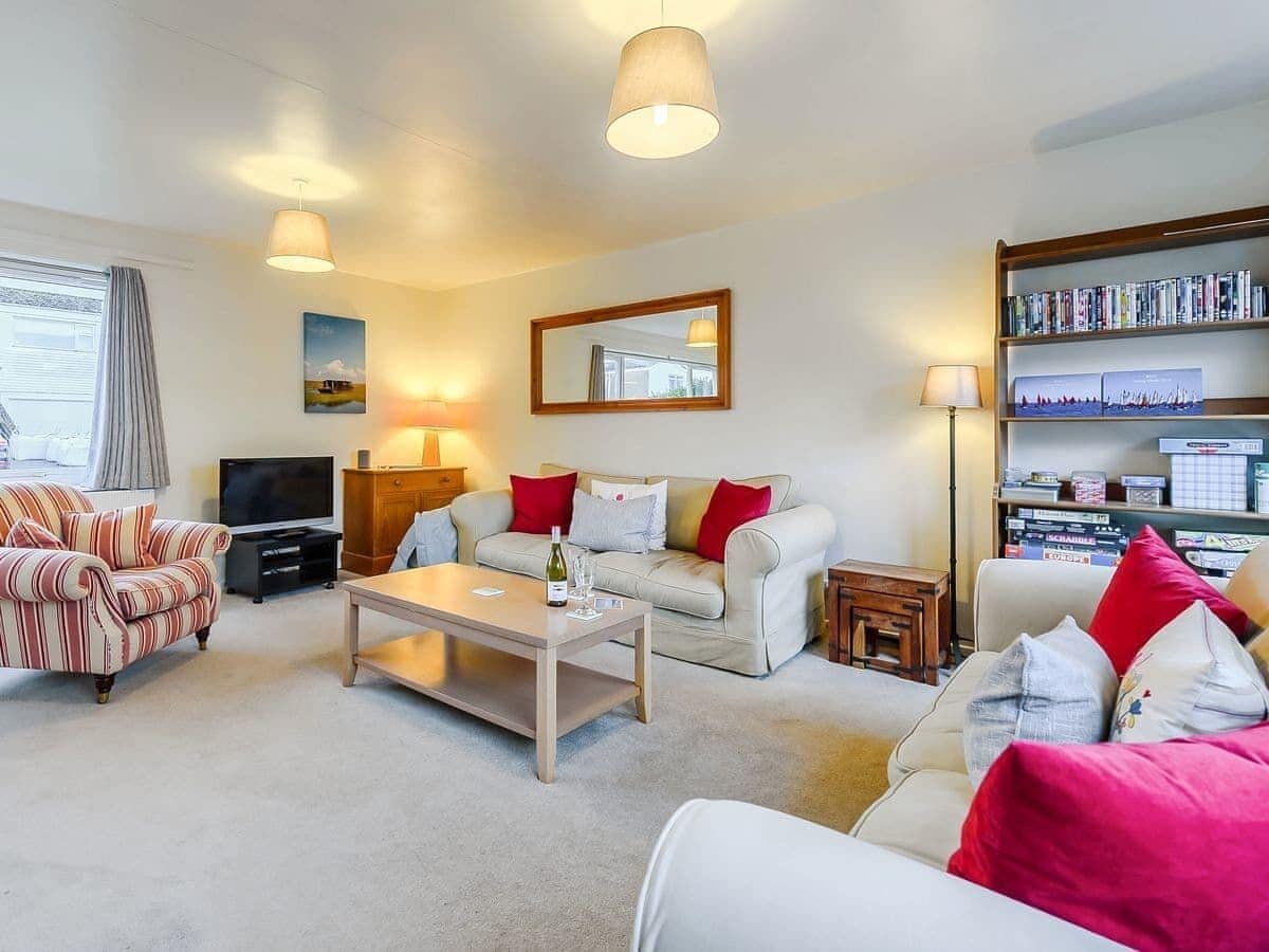 TV, fireplace, DVD player, books