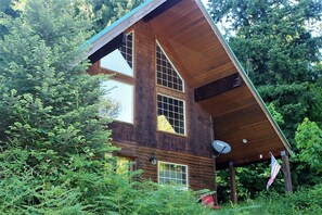Exterior - The Adams Chalet perfect for family or friends.  Pet-friendly, Hot tub, WIFI, AC (Randle)