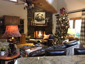 Televisión, chimenea, tenis de mesa y libros 