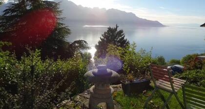 Spectacular view! Very nice apartment overlooking the lake and the mountains!