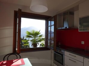 Fridge, microwave, oven, stovetop - Spectacular view! Very nice apartment overlooking the lake and the mountains! (Montreux)