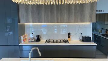 Full-sized fridge, microwave, oven, stovetop